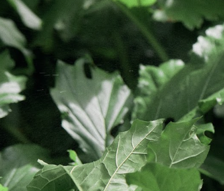 Rituels d'hiver 🌙